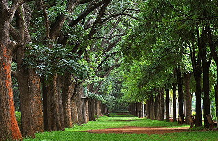 places to visit in bangalore